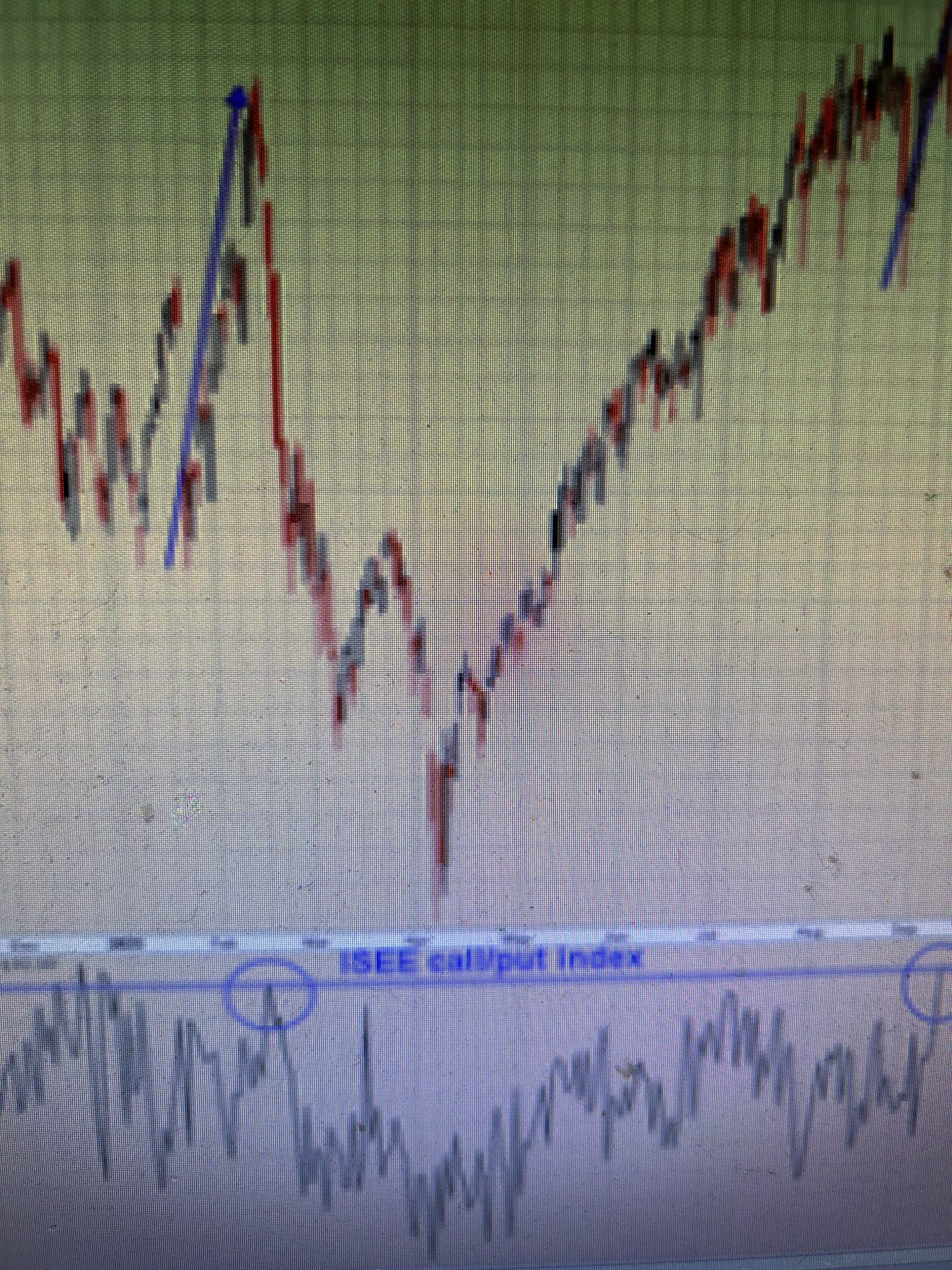 Schizophrenia Hit and Run Trading